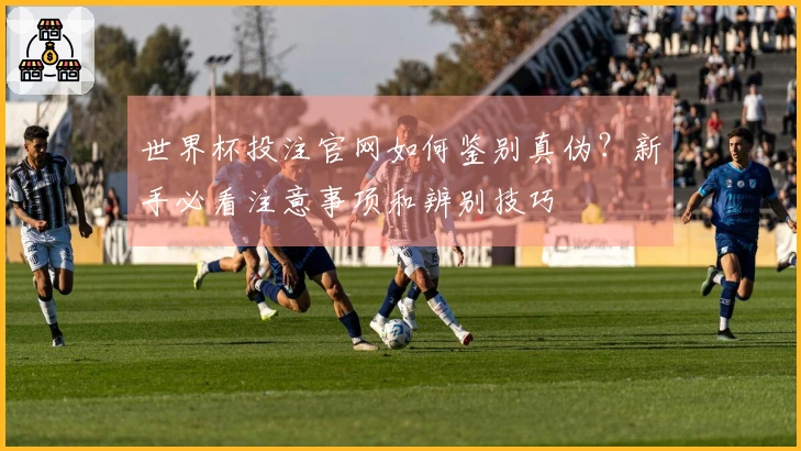 世界杯投注官网如何鉴别真伪？新手必看注意事项和辨别技巧
