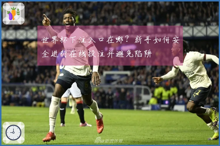 世界杯下注入口在哪？新手如何安全进行在线投注并避免陷阱
