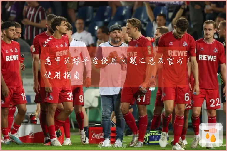 意甲买球平台使用问题汇总及官方使用指南
