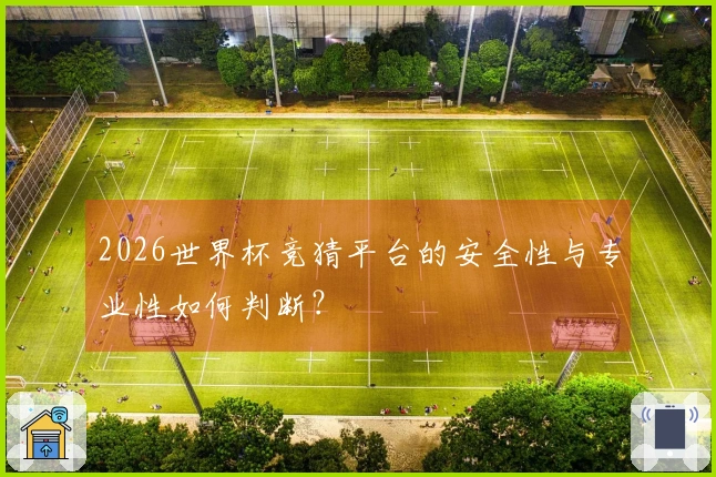 2026世界杯竞猜平台的安全性与专业性如何判断？