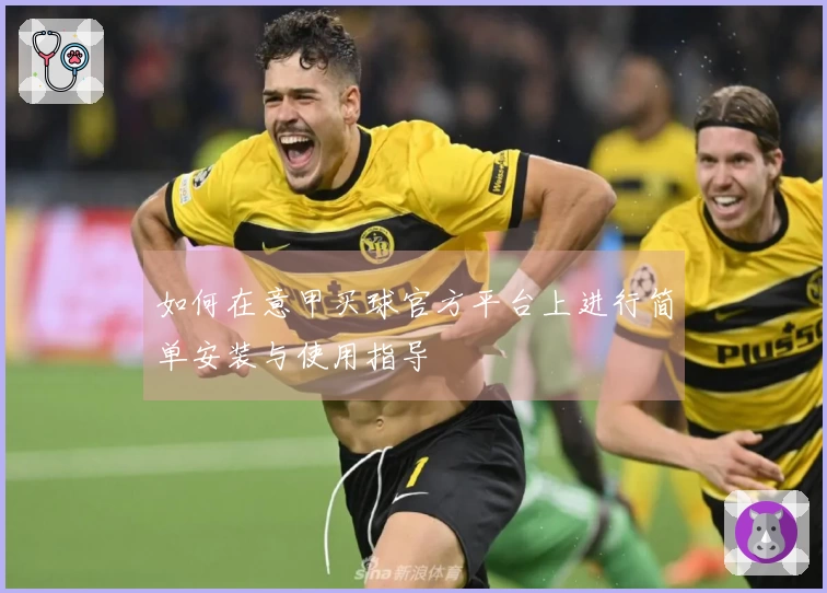 如何在意甲买球官方平台上进行简单安装与使用指导