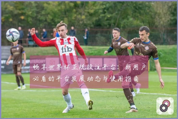 畅享世界杯正规投注平台：新用户必看的平台发展动态与使用指南