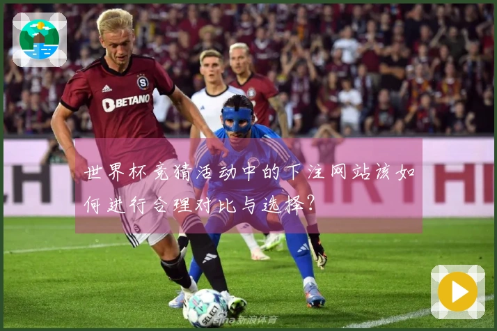世界杯竞猜活动中的下注网站该如何进行合理对比与选择？