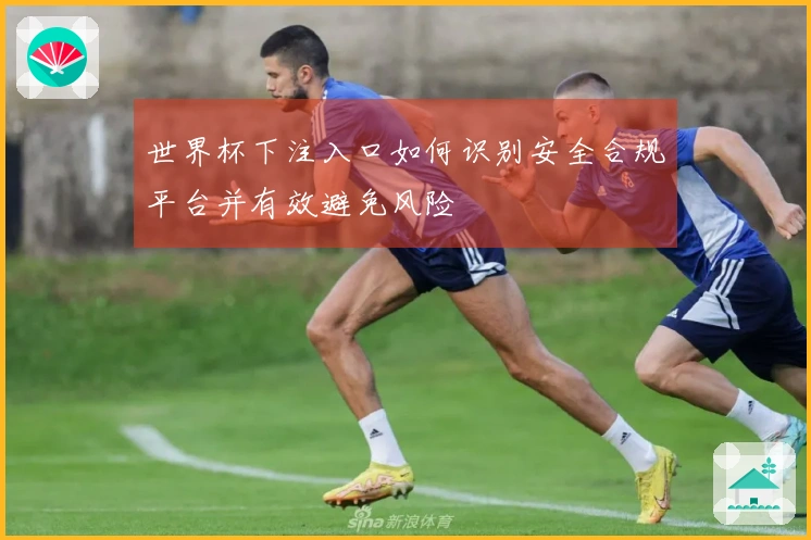 世界杯下注入口如何识别安全合规平台并有效避免风险