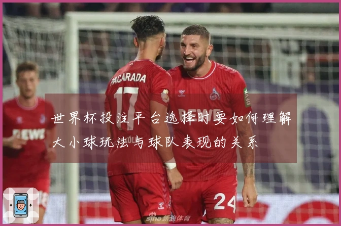 世界杯投注平台选择时要如何理解大小球玩法与球队表现的关系