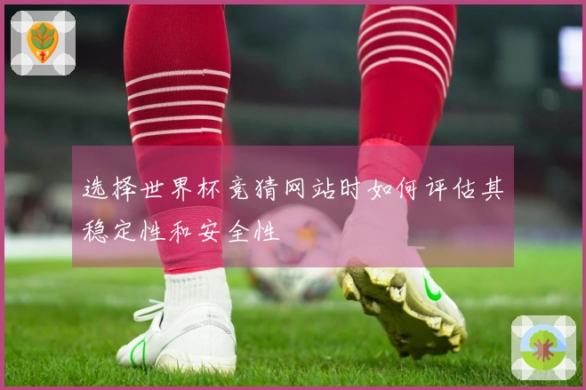 选择世界杯竞猜网站时如何评估其稳定性和安全性