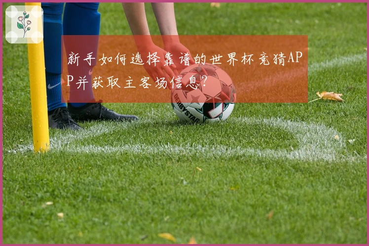 新手如何选择靠谱的世界杯竞猜APP并获取主客场信息？
