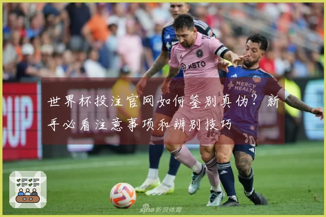 世界杯投注官网如何鉴别真伪？新手必看注意事项和辨别技巧