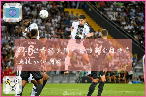2026世界杯竞猜平台的安全性与专业性如何判断？