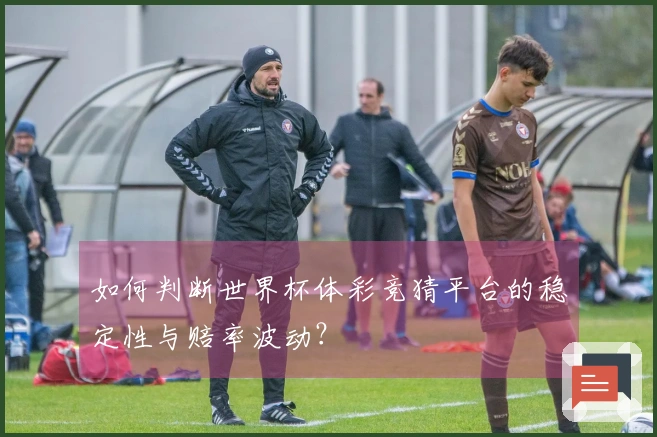 如何判断世界杯体彩竞猜平台的稳定性与赔率波动？