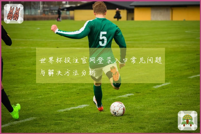 世界杯投注官网登录入口常见问题与解决方法分析