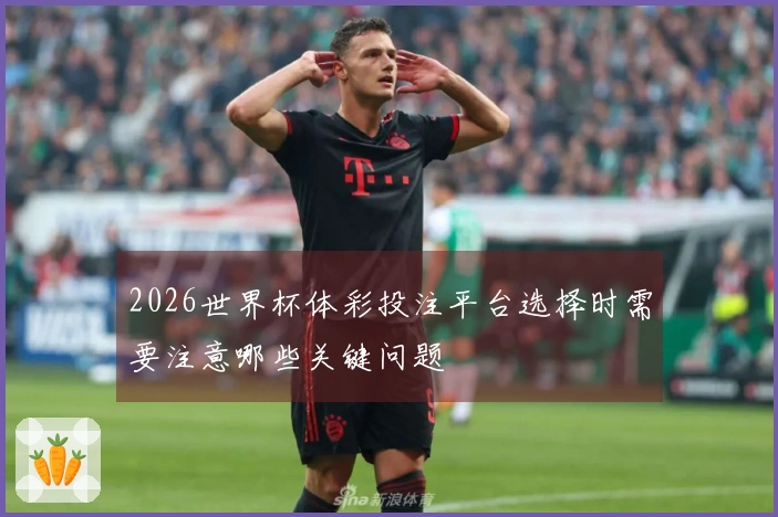 2026世界杯体彩投注平台选择时需要注意哪些关键问题