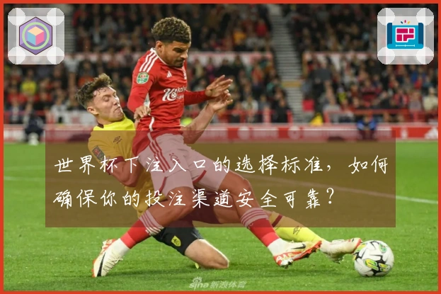 世界杯下注入口的选择标准，如何确保你的投注渠道安全可靠？