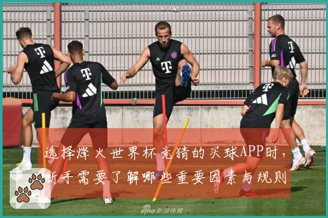 选择烽火世界杯竞猜的买球APP时，新手需要了解哪些重要因素与规则