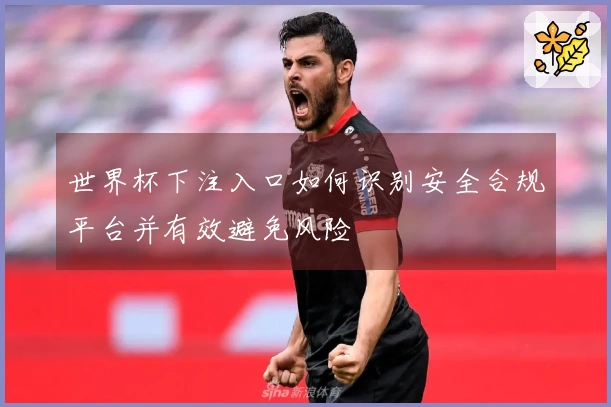 世界杯下注入口如何识别安全合规平台并有效避免风险